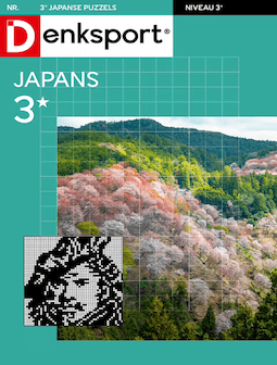 Japanse Puzzels