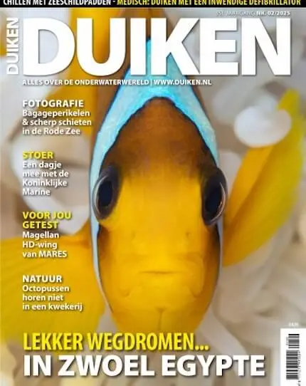 Duiken