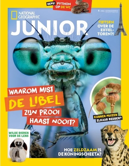 National Geographic Jr.