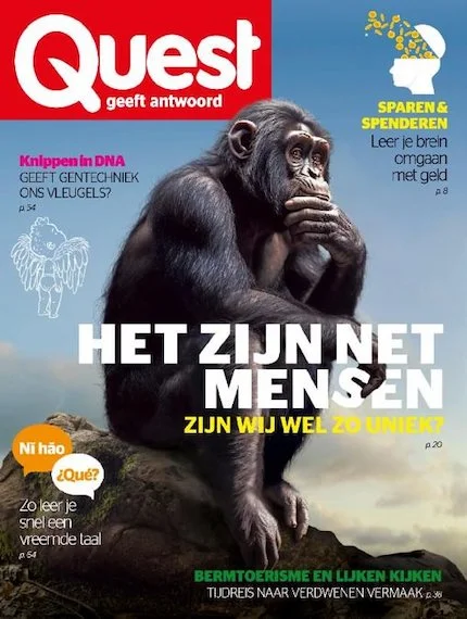 Quest