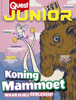 Quest Junior