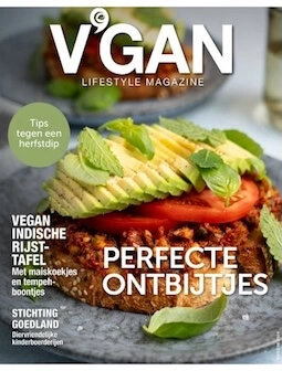 VGAN Lifestyle